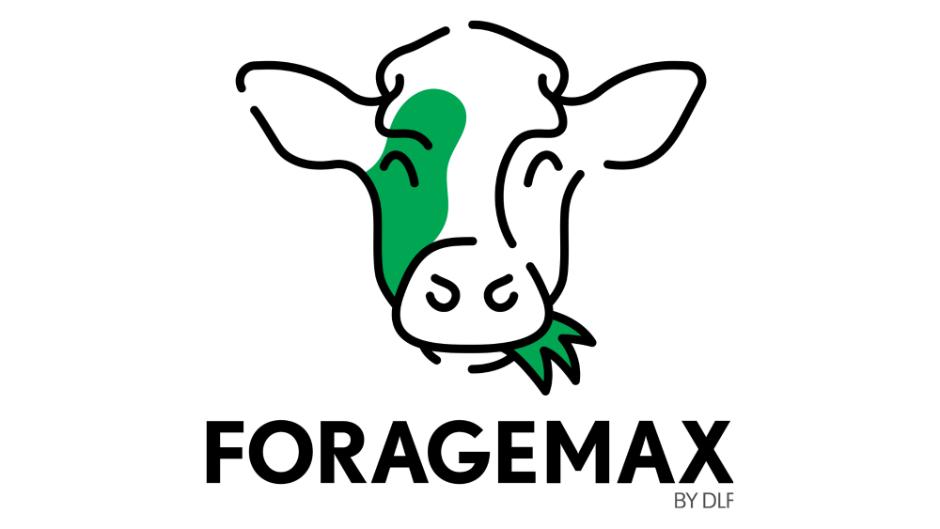 MelkMax Diplo